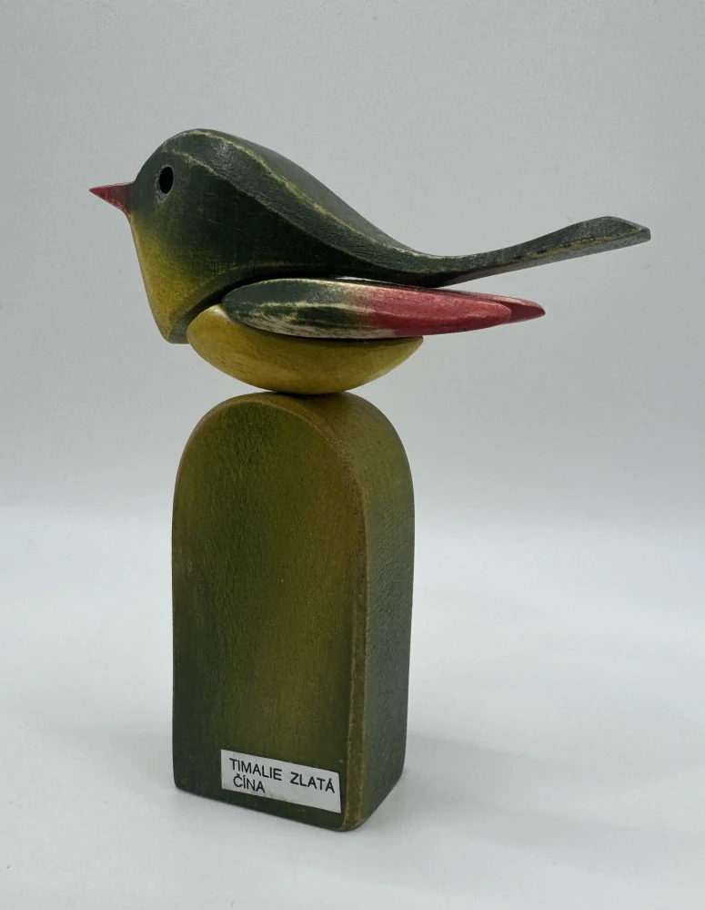 Šetelíková Jaroslava: Timálie zlatá čínská