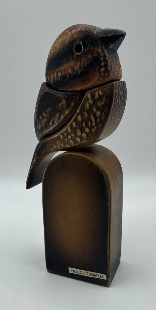 Šetelíková Jaroslava: Lenivka skvrnitá amazonia