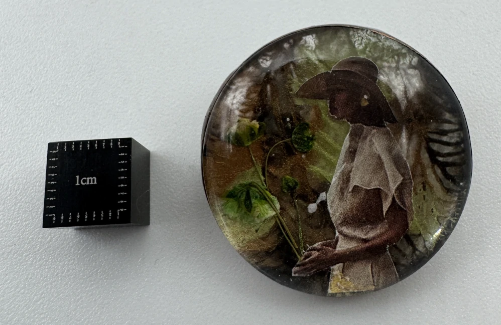 Machová Zuzana: Brož