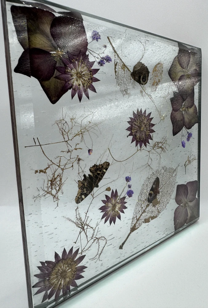 Machová Zuzana: Deska - koláž