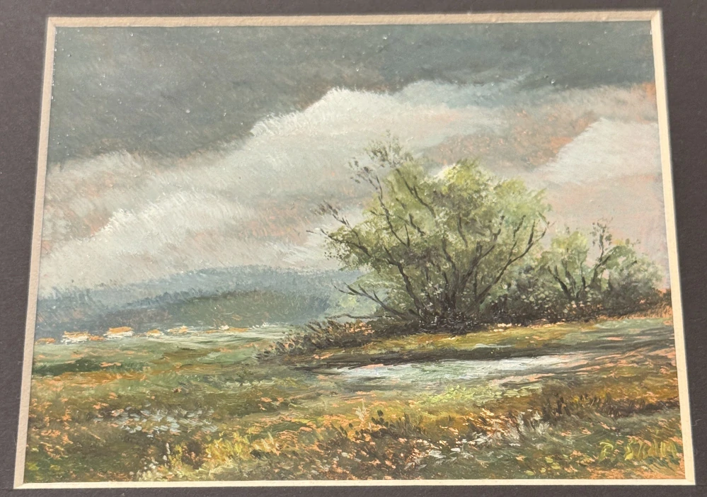 Skála Pavel: Rašeliniště