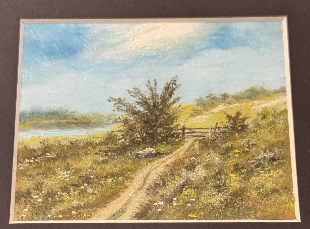 Skála Pavel: Branka