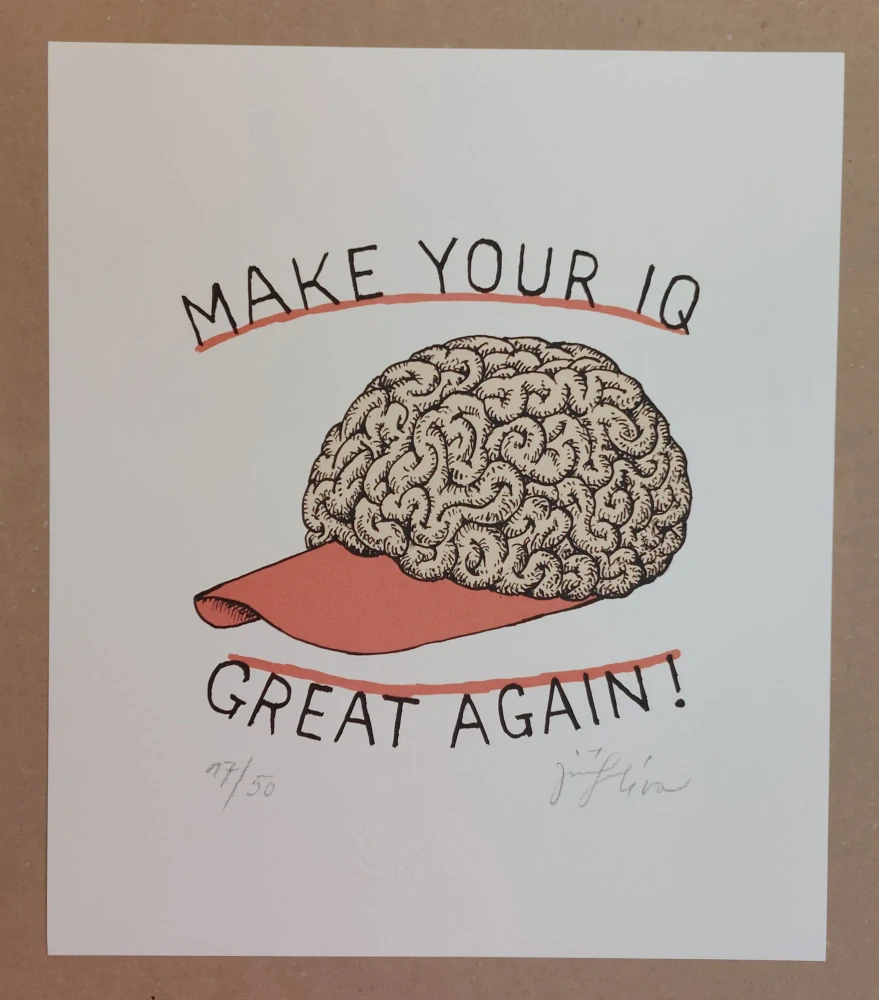 Slíva Jiří: Make your IQ great again