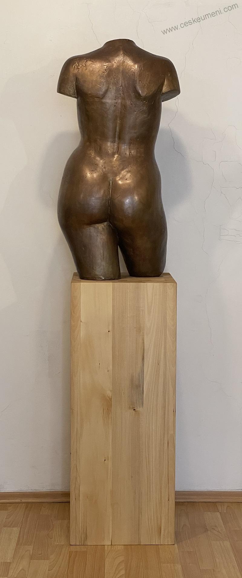 Bocker Jaroslav: 1970 Torzo
