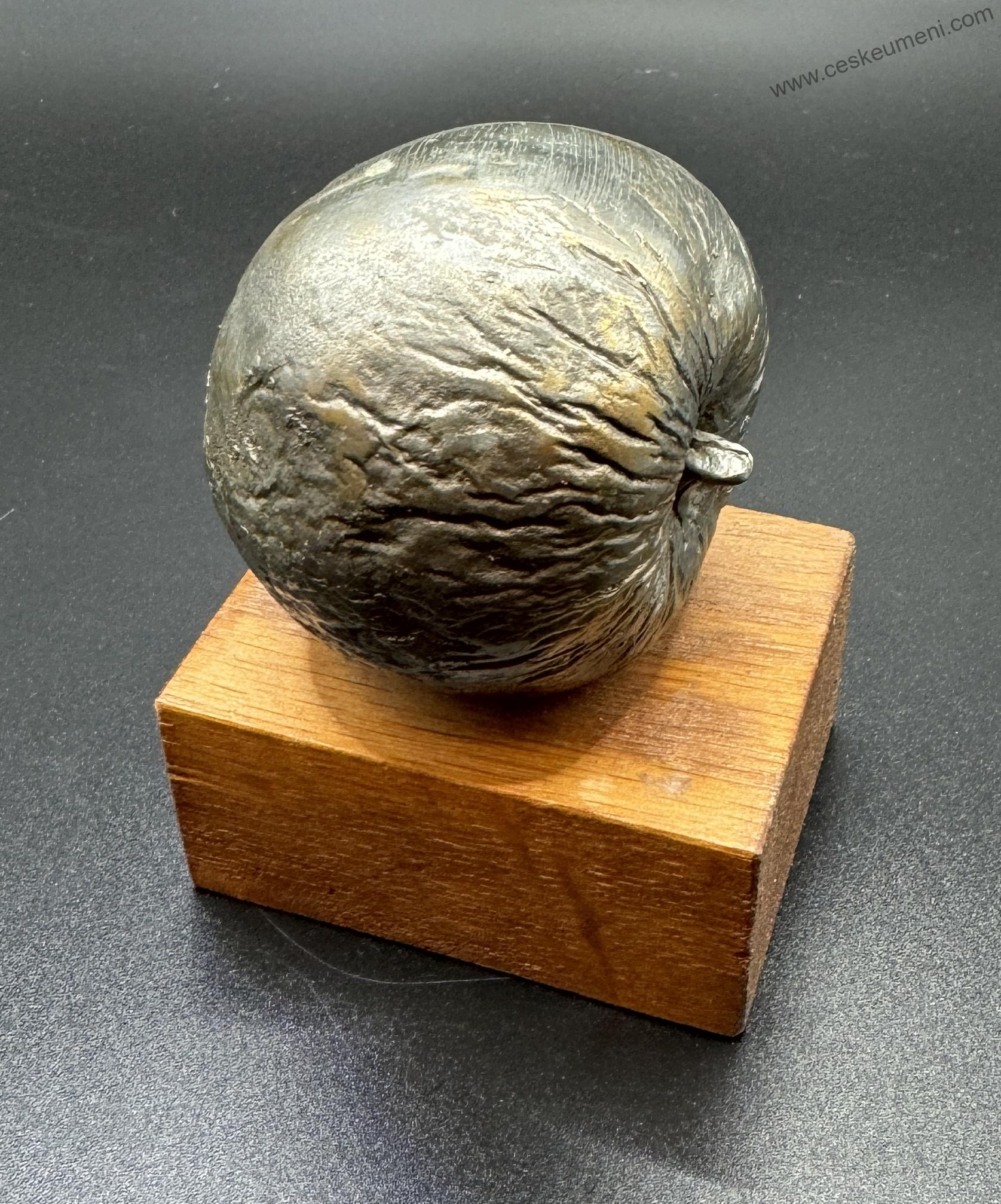 Břicháček Antonín: Jablko