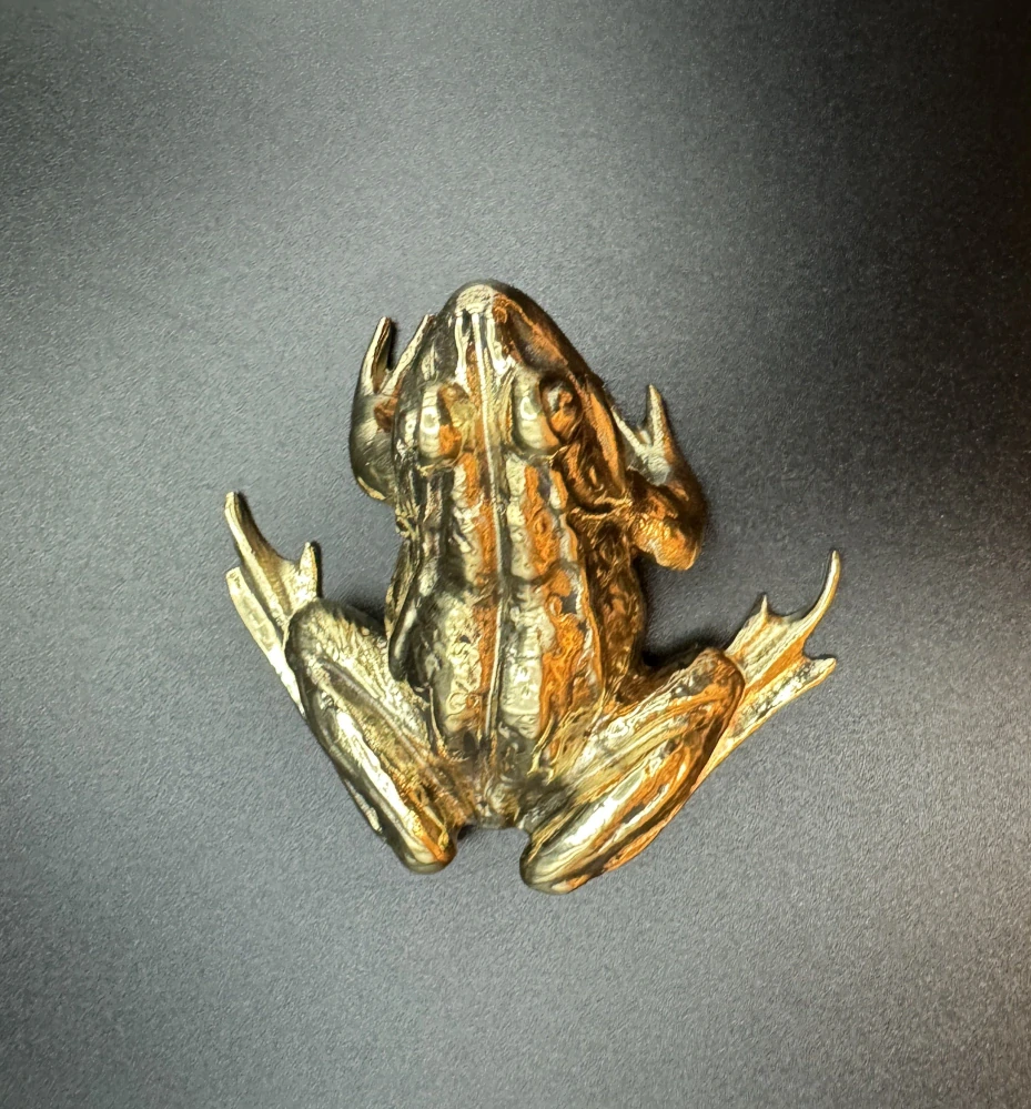 Garguláková Ivana: Žába