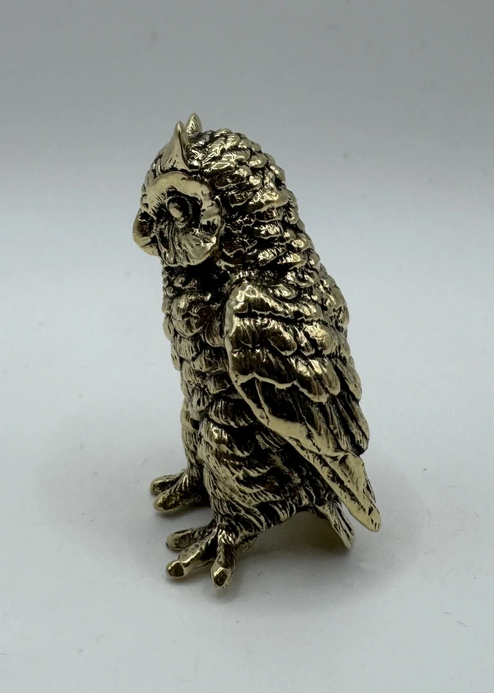 Garguláková Ivana: Sovička střední