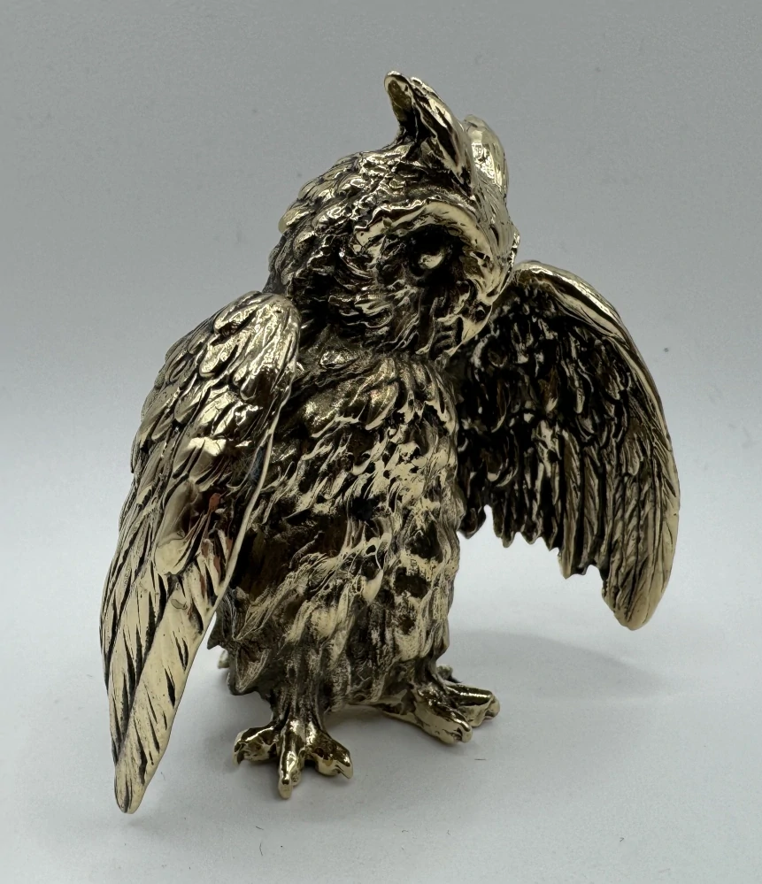 Garguláková Ivana: Sova velká