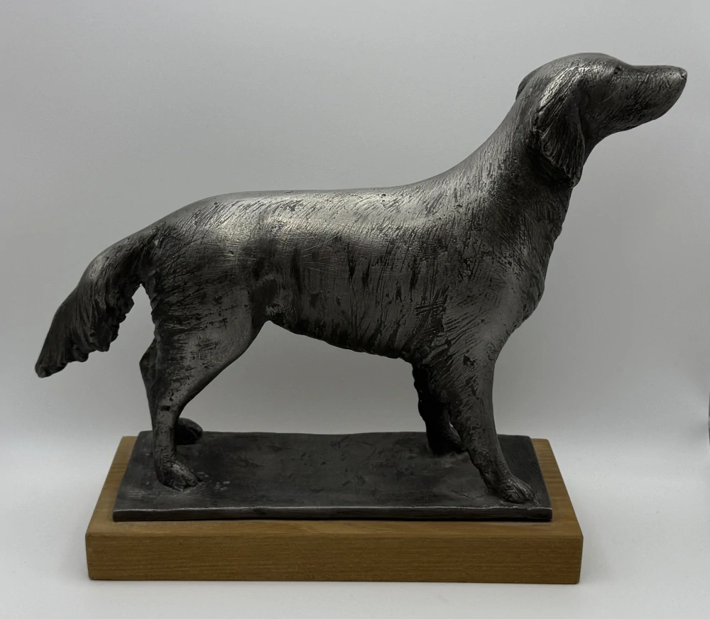 Fausová Barbora: Retrívr