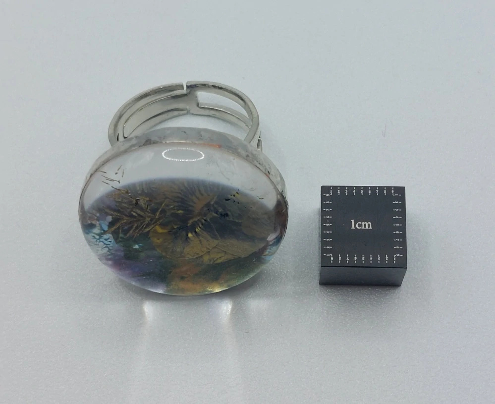 Machová Zuzana: Prsten XI