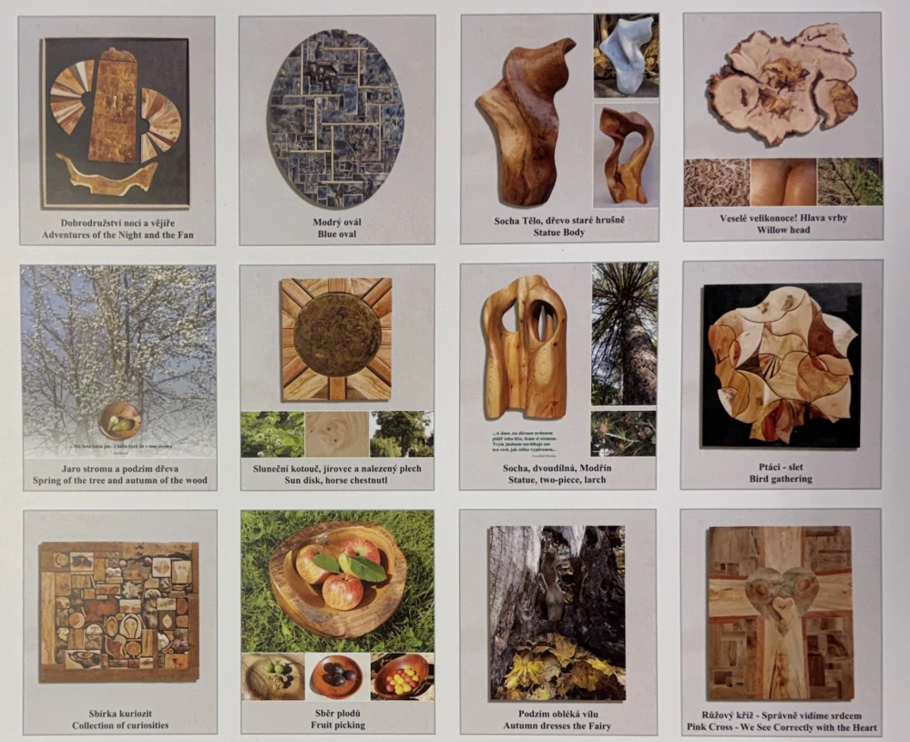 Patřičný Martin: Kalendář 2026