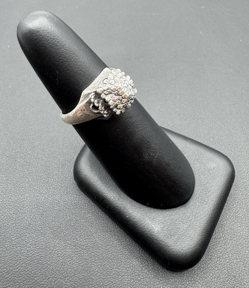 Mašková Zuzana: Prsten - Šest oken