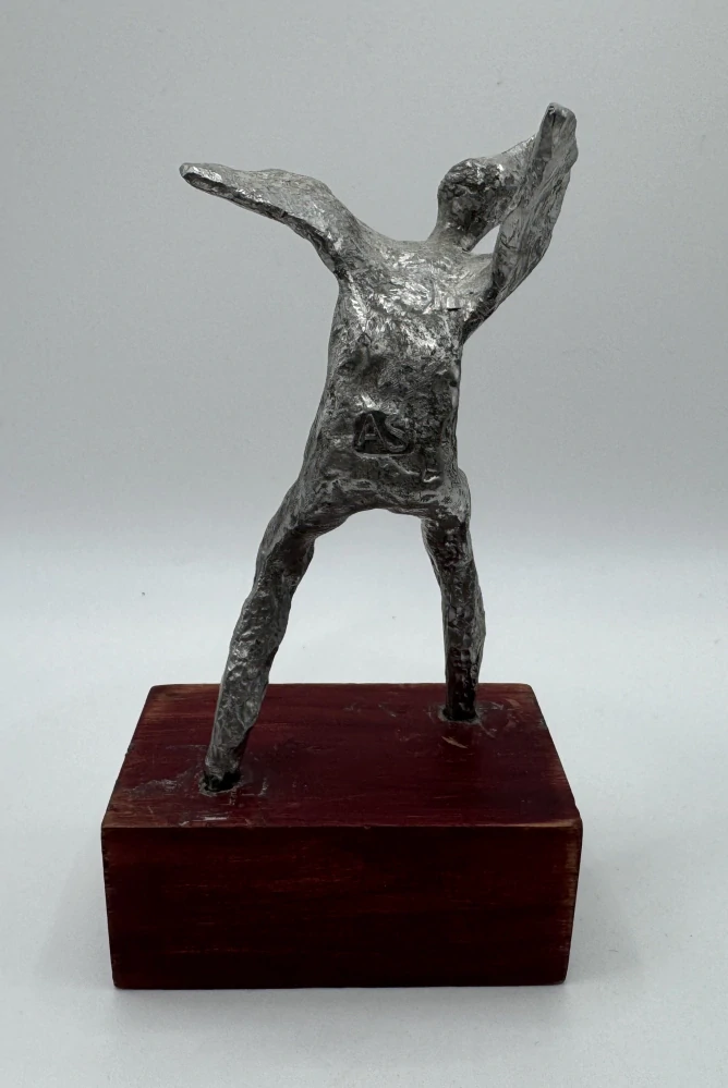 Sukupová Alena: Úprk