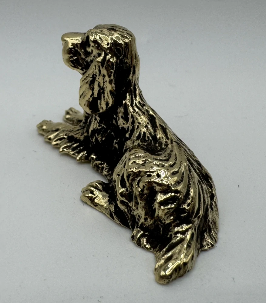 Garguláková Ivana: Kokršpaněl ležící