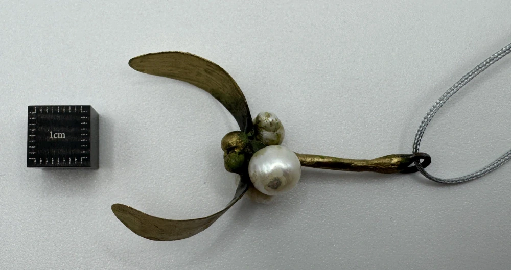 Novotná Veronika: Závěs - Jmelí