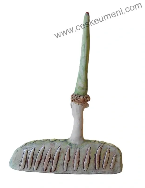 Jirušová Jana: Busta - kašpar