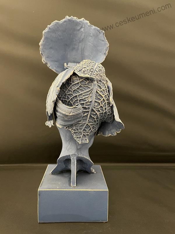 Dudycha Jiří: Calathea