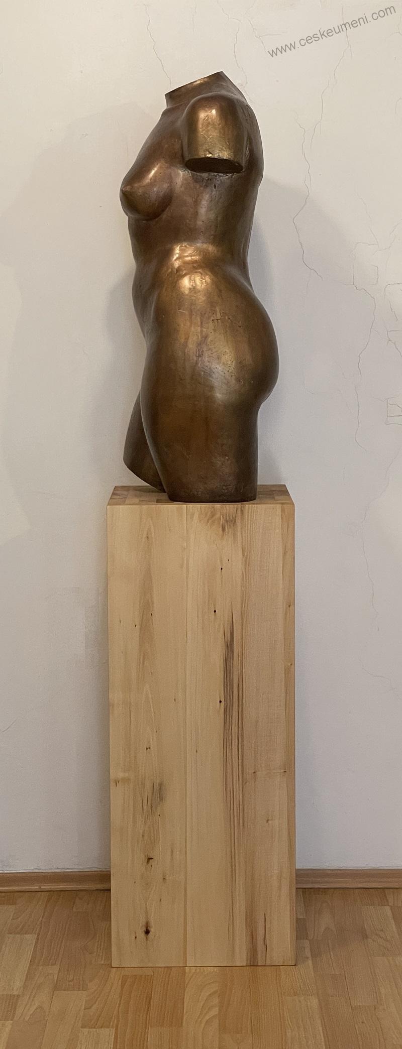 Bocker Jaroslav: 1970 Torzo