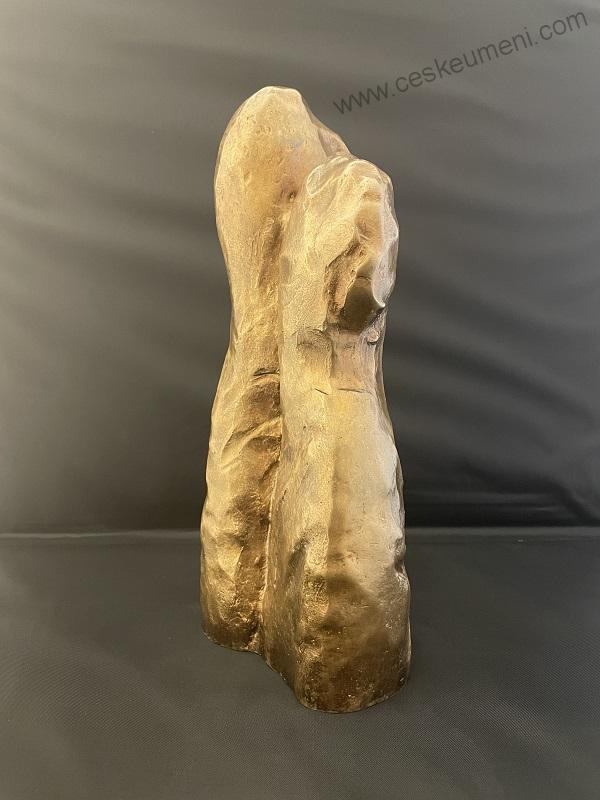 Žilík Václav: Torzo