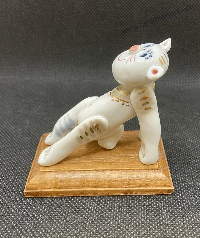 Motlík Ondřej: Kočka (pupík)