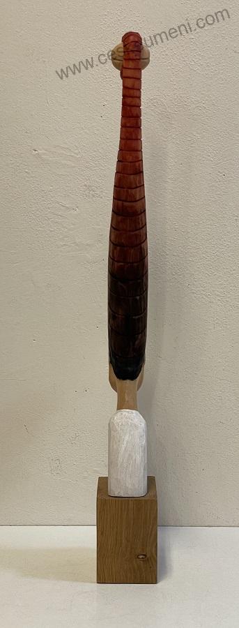 Zedník Tomiš: Účes alá šašek