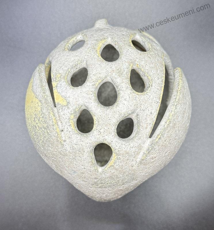 Nožičková Petra: Tužkovník slon světlý