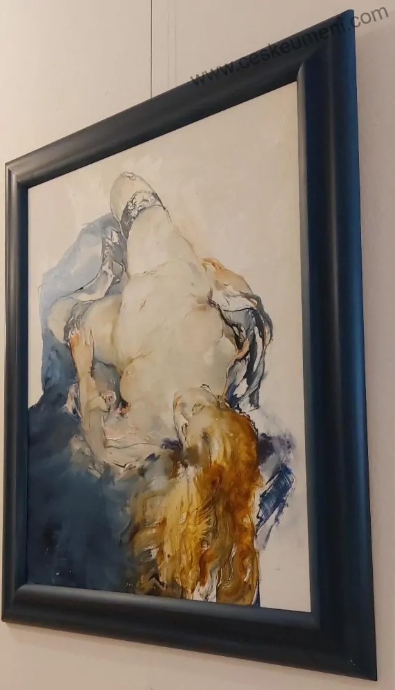 Řeřicha Jan: Modrá krajka