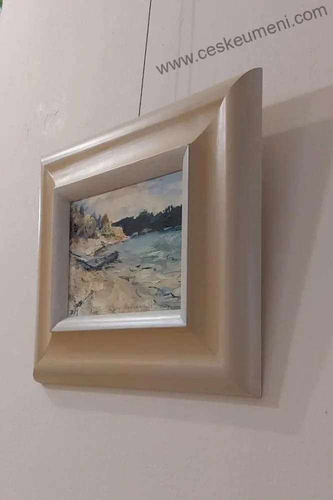 Řeřicha Jan: Život na Vltavě: Rybářské pramičky