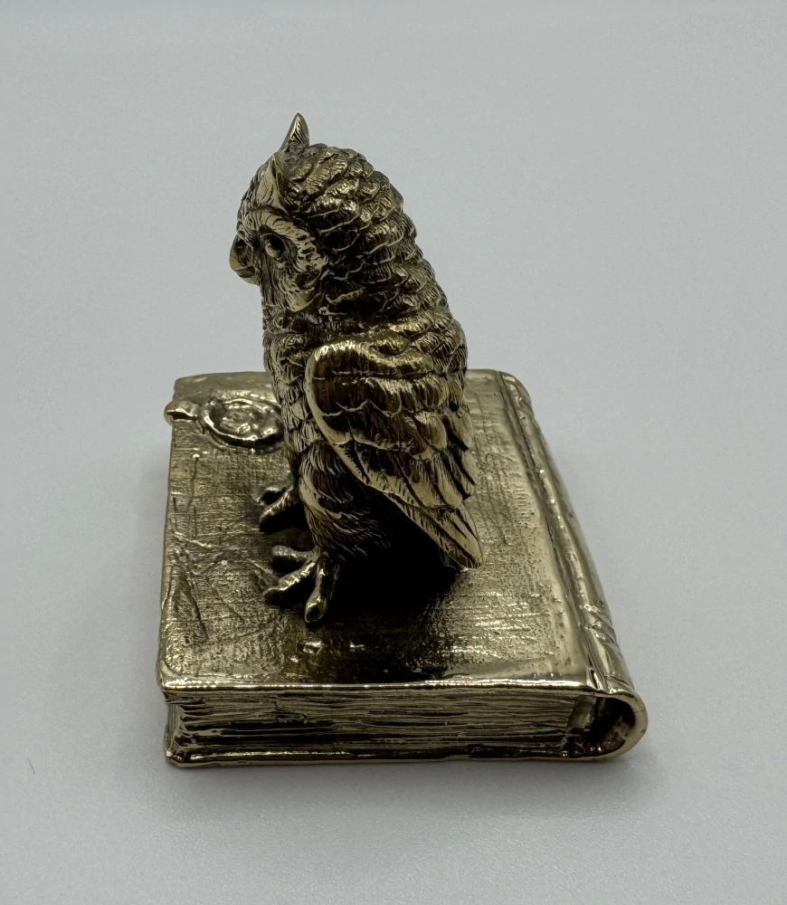 Garguláková Ivana: Sova na knize