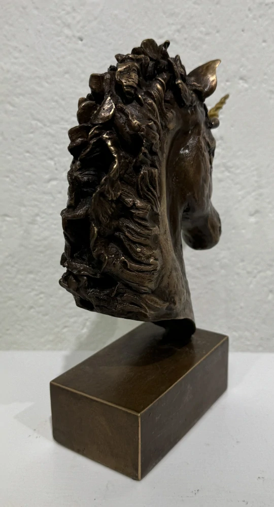 Dudycha Jiří: Jednorožec