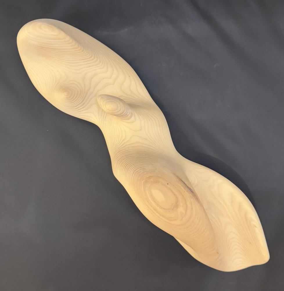 Patřičný Martin: Na břehu s mládětem