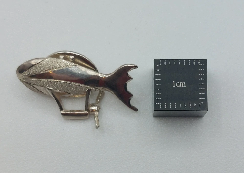 Ebermannová Hana: Odznak - Vzducholoď