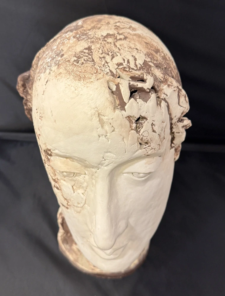 Košnářová Jarmila: Vizionářka