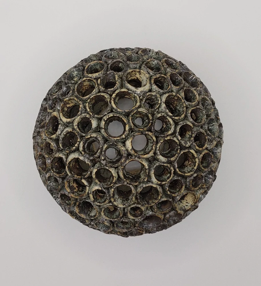 Hejhalová Veronika: Korál - světelný objekt - střední 