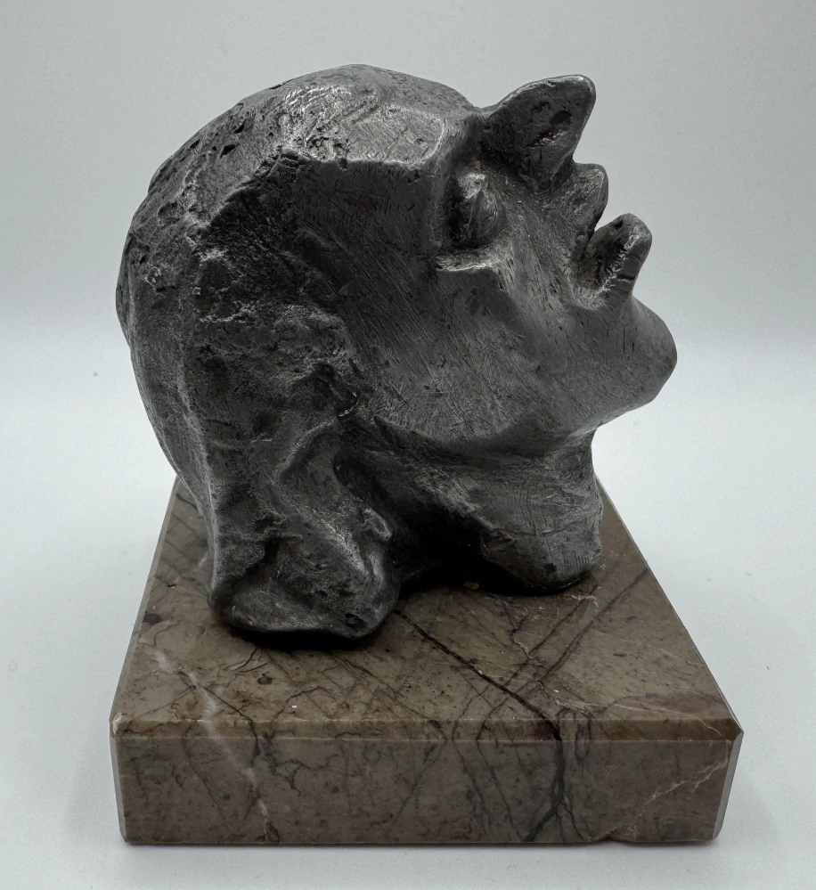 Sukupová Alena: Hlava