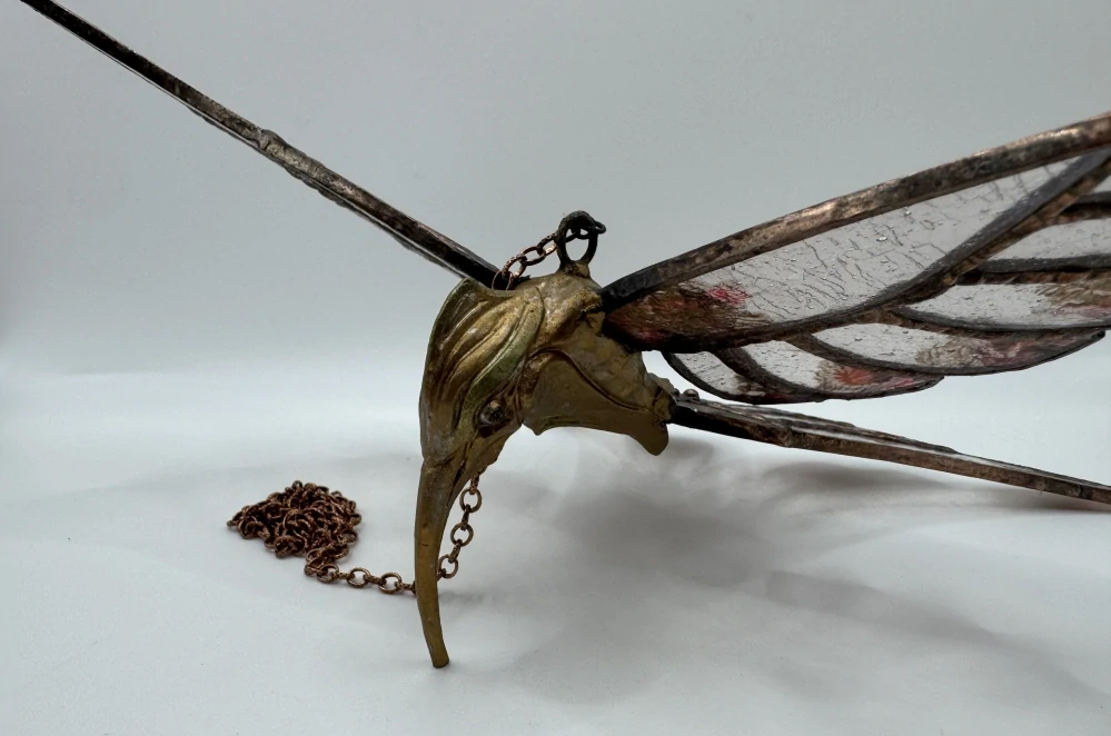 Machová Zuzana: Kolibřík závěsný