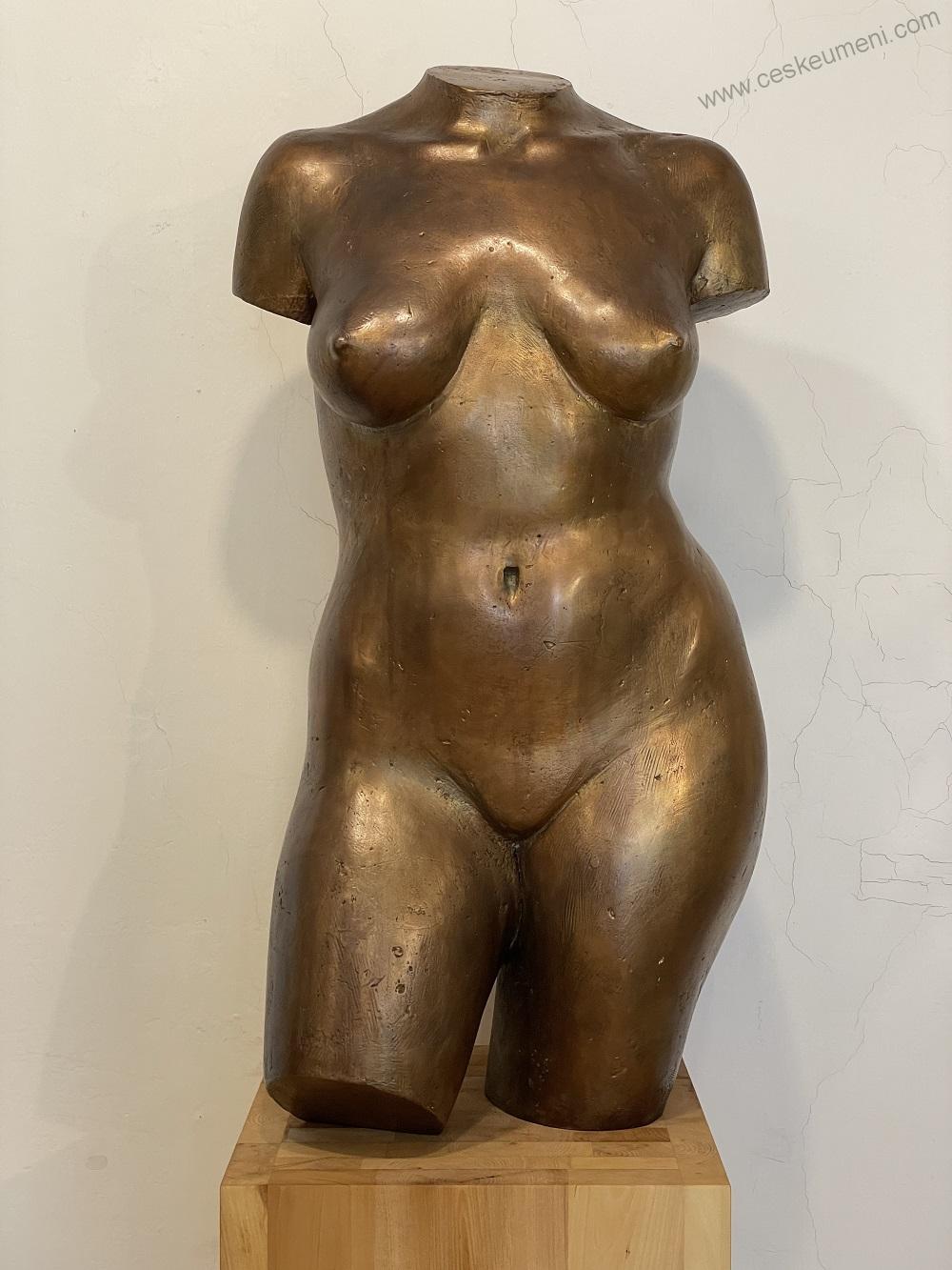 Bocker Jaroslav: 1970 Torzo