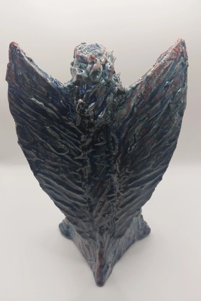 Nožičková Petra: Anděl - Světlonoš 