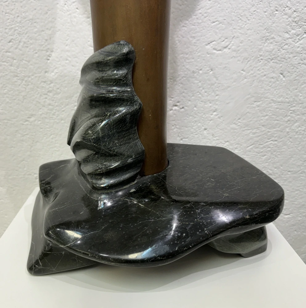 Dudycha Jiří: Cleomé