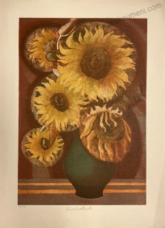 Oberthor Karel: Slunečnice