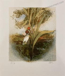 Stárková Olga: Jaro