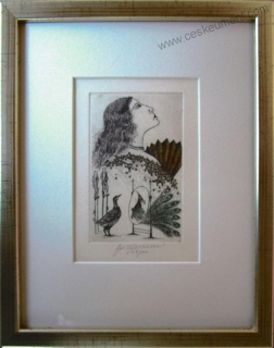 Vychodilová Olga: Nectnost - pýcha