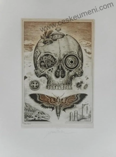 Bauer Milan: Lebka F.G.