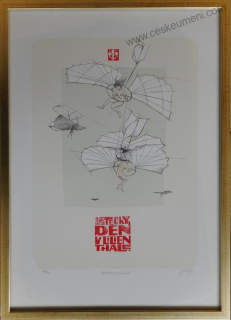 Suchý Jiří: Letecký den