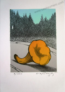 Velčovský Josef: Liška