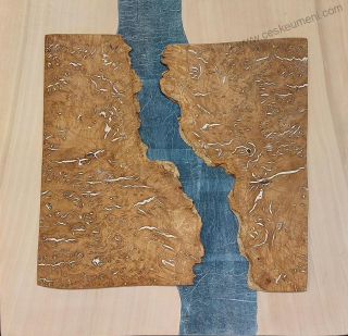 Patřičný Martin: Břehy