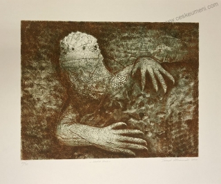 Hřivnáč Tomáš: Santa Cruz