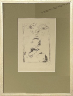 Šerých Jaroslav: Boudelaire: Květy zla I.