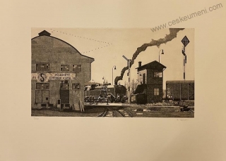 Toman Petr: Praha Těšnov - Rohanský ostrov