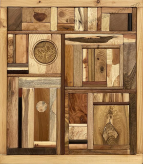 Patřičný Martin: Knihovna - okno se zlatou krajkou